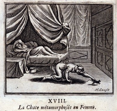 Le chat métamorphosé en femme - Francois Chauveau