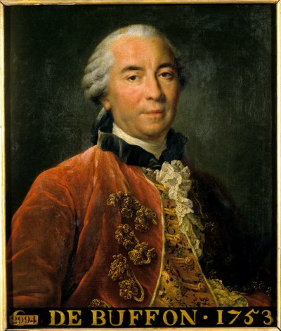 Portrait de Georges Louis Leclerc, comte de Buffon, intendant des jardins royaux, naturaliste et écrivain (1707-1788) - Francois Hubert Drouais