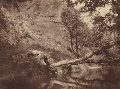 Rive, c. 1855 (photo) - Frank Chauvassaigne