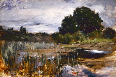Paysage électoral - Frank Duveneck