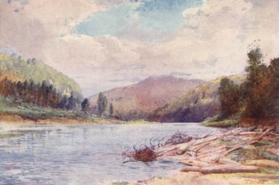 Nouvelle-Zélande : Sous la jonction des rivières Buller et Inangahua - Frank H Wright