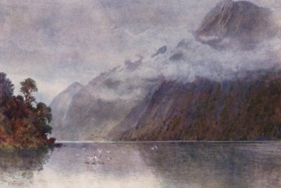 Nouvelle-Zélande : Dans le Milford Sound - Frank H Wright