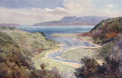 Nouvelle-Zélande : Lac et mont Tarawera - Frank H Wright