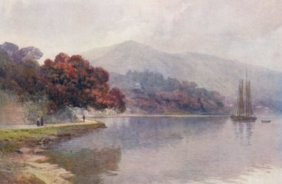 Nouvelle-Zélande : Pohutukawa en fleur, port de Whangaroa - Frank H Wright