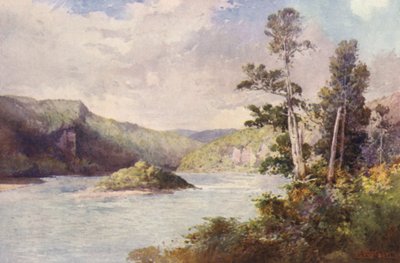 Nouvelle-Zélande : Falaises Blanches, Rivière Buller - Frank H Wright
