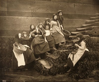 Femmes attendant la pêche du jour, port de Whitby, North Yorkshire, c.1899 - Frank Meadow Sutcliffe