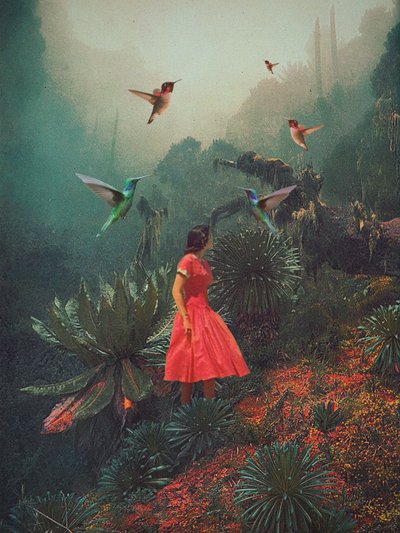  - Frank Moth
