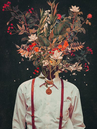  - Frank Moth