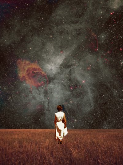  - Frank Moth