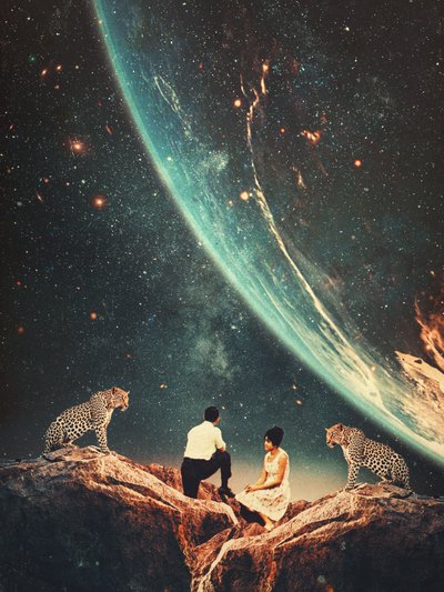  - Frank Moth