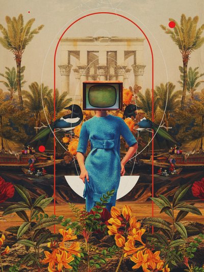  - Frank Moth