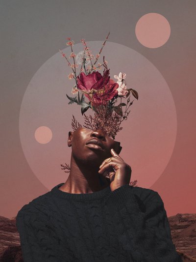  - Frank Moth