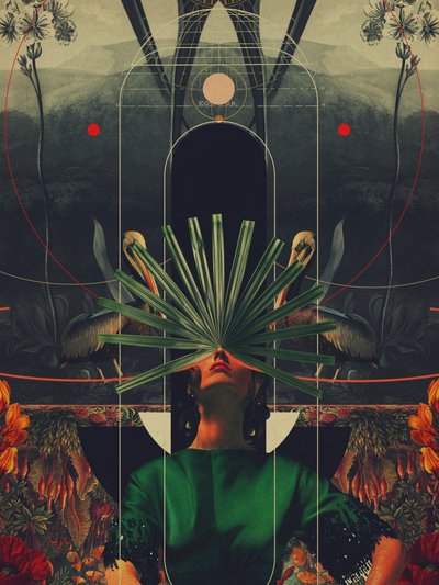  - Frank Moth