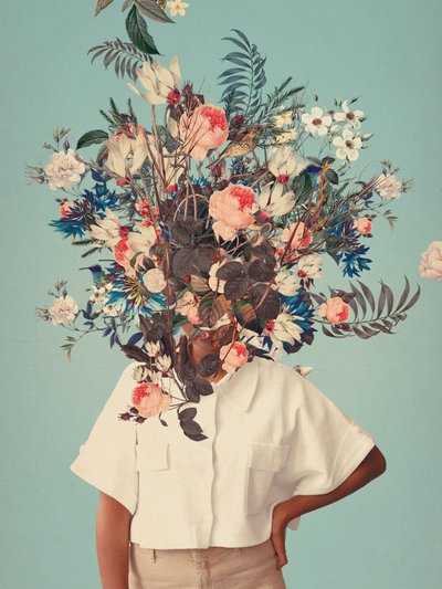  - Frank Moth