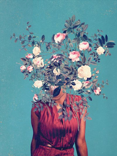  - Frank Moth