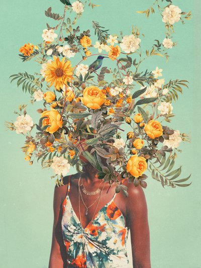  - Frank Moth
