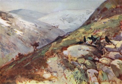 Près de Kielder - Frank Southgate