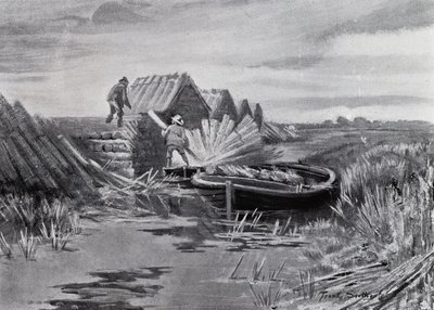 Norfolk Broads : Empilage de roseaux - Frank Southgate