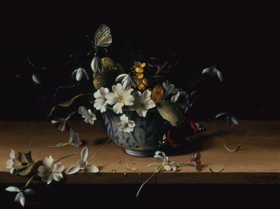 Fleurs dans un bol en porcelaine chinoise bleu et blanc avec un papillon amiral rouge sur un rebord en bois - François Habert