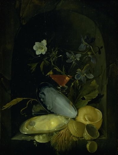 Nature morte avec coquilles et anémones bleues - Frans van I Mieris