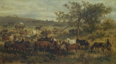 Chevaux à une auge - Franz Adam