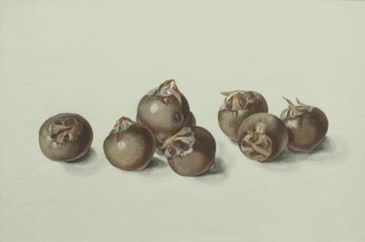 Nèfles - Franz Horny