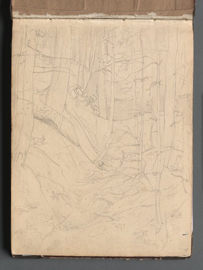 Album avec des vues de Rome et des environs, études de paysages, page 01a : Paysage romain - Franz Johann Heinrich Nadorp