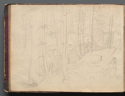 Album de vues de Rome et de ses environs, Études de paysages, page 01b : Paysage romain - Franz Johann Heinrich Nadorp