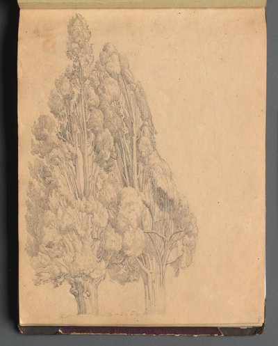 Album avec des vues de Rome et des environs, études de paysage, page 13a : Arbres - Franz Johann Heinrich Nadorp
