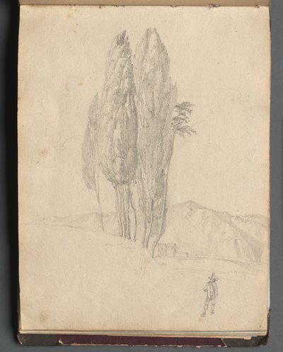 Album avec des vues de Rome et des environs, études de paysage, page 20a : Arbres - Franz Johann Heinrich Nadorp