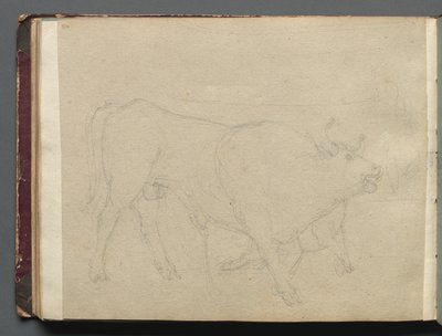 Album avec des vues de Rome et des environs, études de paysage, page 51b : Étude d