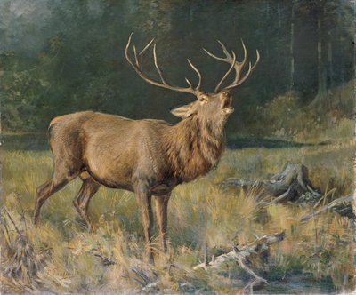 Cerf en rut - Franz Xaver von Pausinger