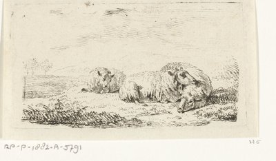 Trois moutons couchés dans l
