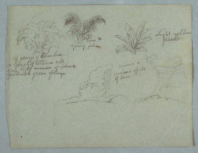 Bambous, vigne et un jeune palmier, plante, et deux scènes de pluie tombant des nuages sur les crêtes, Rio Magdalena, Colombie - Frederic Edwin Church