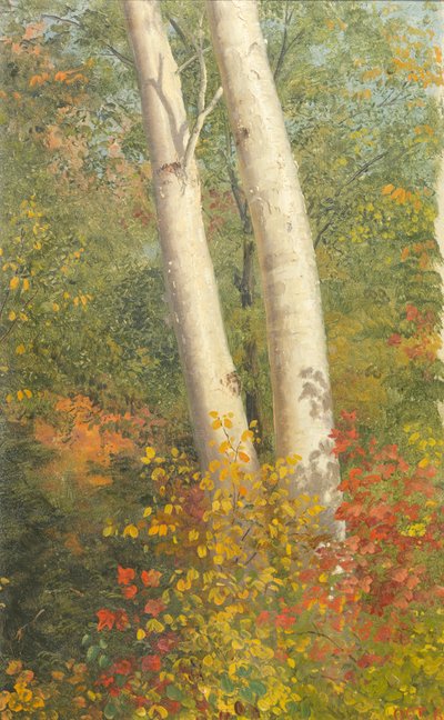 Bouleaux en automne - Frederic Edwin Church