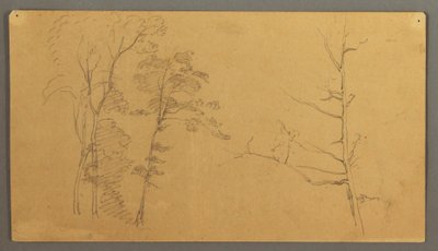 Dessin, Groupe d