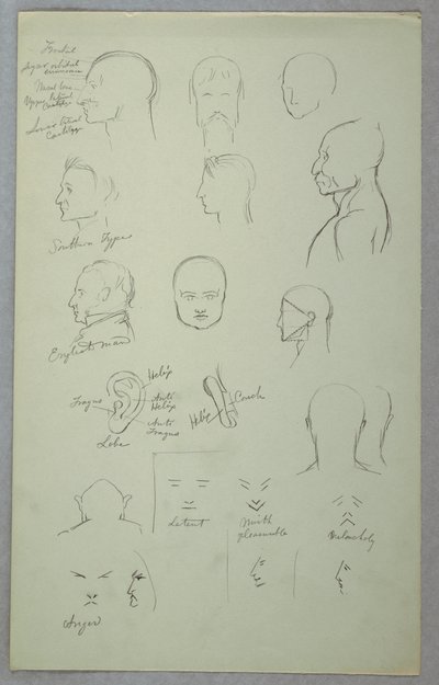 Dessin, études anatomiques, 1865-70 - Frederic Edwin Church