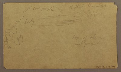 Dessin, croquis botaniques ; Verso : nuages, juillet 1865 - Frederic Edwin Church