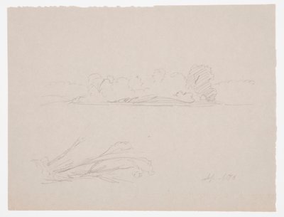 Dessin, croquis botaniques : paysage, arbres sur un rivage, septembre 1876 - Frederic Edwin Church