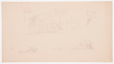 Dessin, Esquisses botaniques : arbre, arbres au bord de l