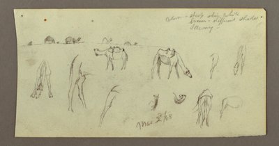 Dessin, études sur les chameaux, 2 mars 1868 - Frederic Edwin Church