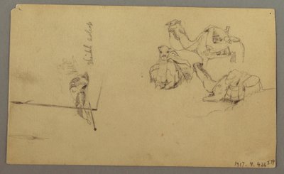 Dessin, Chameaux s