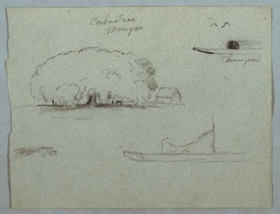 Dessin, arbre Ceiba à Mompos, canoë Champan, arbres et bateau partiel, Rio Magdelena, Colombie, 1853, probablement mai - Frederic Edwin Church