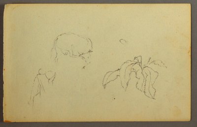 Dessin, vache se grattant la tête, plante à feuilles, peut-être 1844 - Frederic Edwin Church