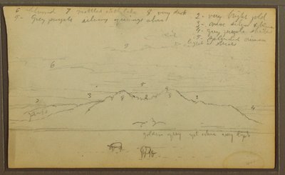 Dessin, vaches dans un paysage ; verso : bambou, 1857 - Frederic Edwin Church