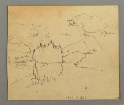 Dessin, arbres morts, plante, peut-être 1868 - Frederic Edwin Church