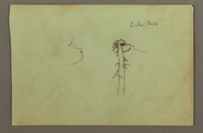 Dessin, tête de chien, nid d