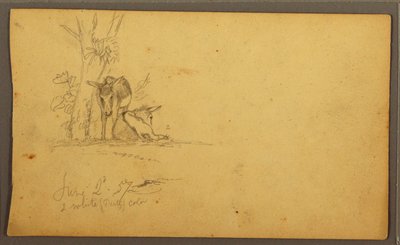 Dessin, ânes, 2 juin 1857 - Frederic Edwin Church