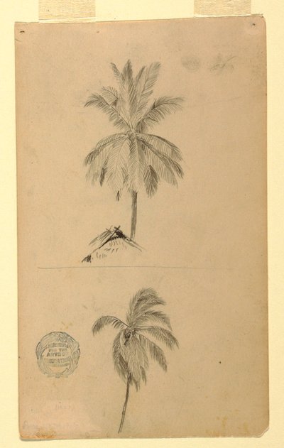 Dessin, Dessins.  Deux esquisses.  Palmiers, 1857 - Frederic Edwin Church