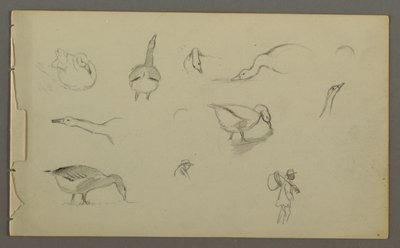 Dessin, huit études de canards, deux stuides de figures, peut-être 1857-58 - Frederic Edwin Church